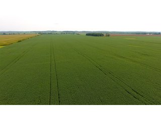 Property photo 27 - IMPORTANT OHIO LAND AUCTION - 325.5+/- ACRES OFFERED IN 8 TRACTS IN PICKAWAY COUNTY, OHIO